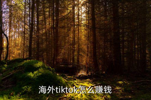 海外tiktok怎么赚钱