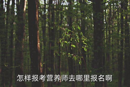 怎样报考营养师去哪里报名啊