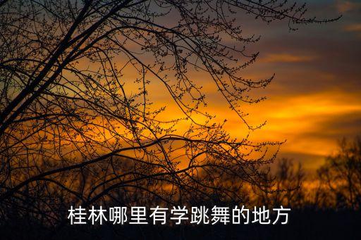 想去锻炼身体学个舞蹈去哪里学呢桂林，不知道在桂林那里可以学跳现代舞呢