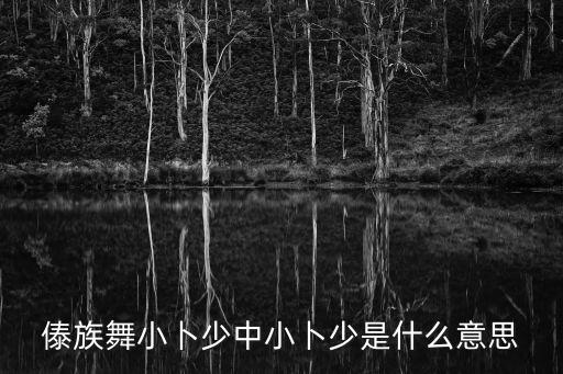 小什么傣族舞蹈，傣族舞小卜少中小卜少是什么意思