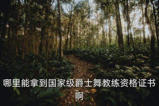 哪里能拿到国家级爵士舞教练资格证书啊