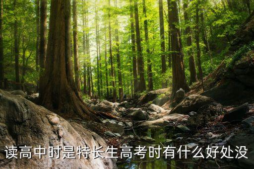 读高中时是特长生高考时有什么好处没