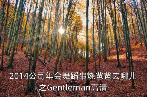 2014公司年会舞蹈串烧爸爸去哪儿之Gentleman高清