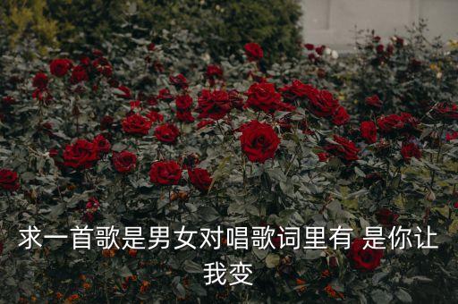 求一首歌是男女对唱歌词里有 是你让我变