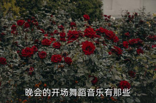 晚会的开场舞蹈音乐有那些