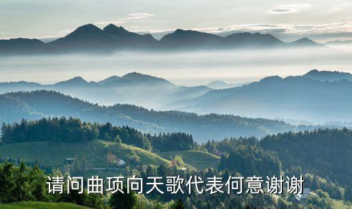 请问曲项向天歌代表何意谢谢