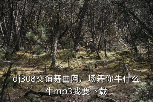 dj308交谊舞曲网广场舞你牛什么牛mp3我要下载