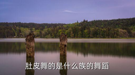 肚皮舞的是什么族的舞蹈