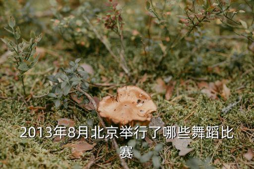 2013年8月北京举行了哪些舞蹈比赛