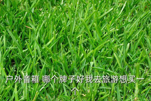 户外音箱 哪个牌子好我去旅游想买一个