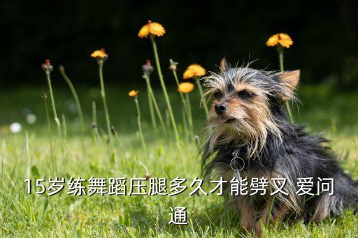 舞蹈压膝盖多久有效果，15岁练舞蹈压腿多久才能劈叉 爱问通