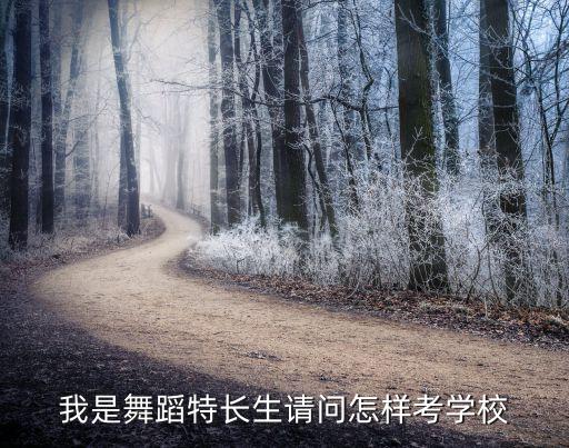 我是舞蹈特长生请问怎样考学校