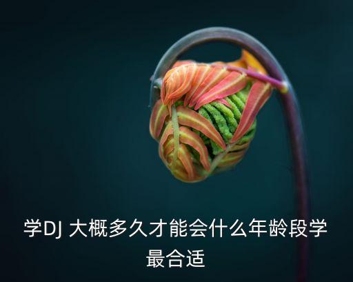酒吧领舞一般学多久，最快学领舞多久上班石家庄哪个学校学的最快