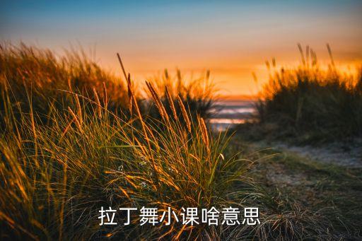 拉丁舞小课啥意思