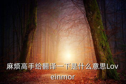 麻烦高手给翻译一下是什么意思Loveinmor