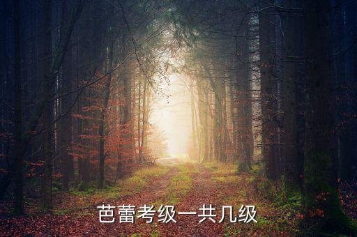 舞蹈考级七级有哪些，考级的27个组合民族舞的考级7级