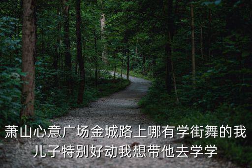 萧山心意广场金城路上哪有学街舞的我儿子特别好动我想带他去学学