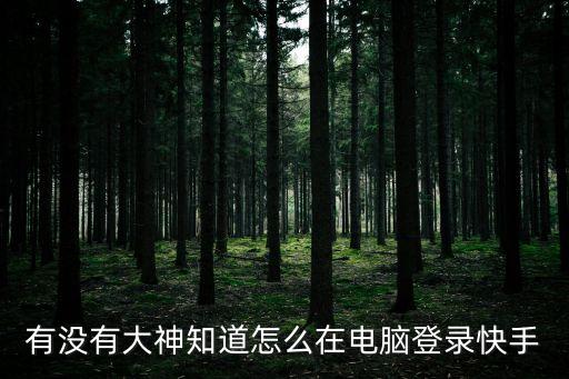 有没有大神知道怎么在电脑登录快手