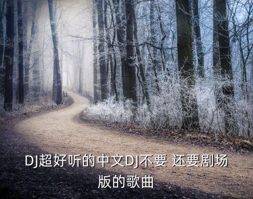DJ超好听的中文DJ不要 还要剧场版的歌曲
