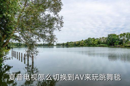 怎么用电视玩跳舞，夏普电视怎么切换到AV来玩跳舞毯