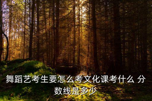 舞蹈生艺考分数线2023湖北，武汉 艺术类 二本分数线