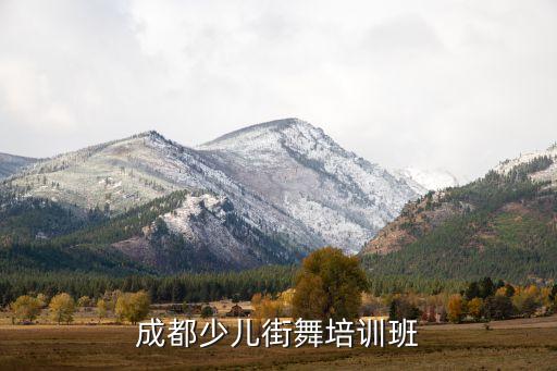 成都少儿街舞培训班