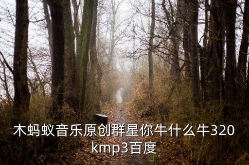 木蚂蚁音乐原创群星你牛什么牛320kmp3百度
