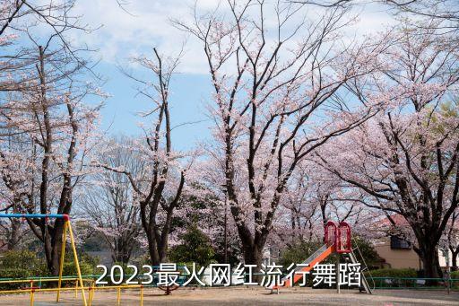 2023最火网红流行舞蹈