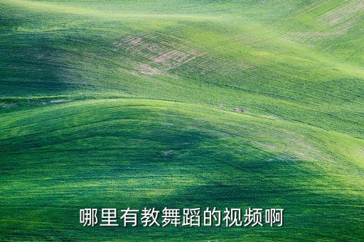 什么网站有舞蹈教学视频，哪里有教舞蹈的视频啊
