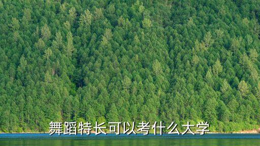 舞蹈特长可以考什么大学