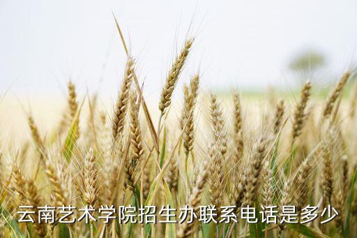 艺考咨询电话是多少号码，天津艺术职业学院招生办电话多少了