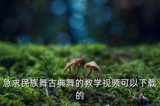 急求民族舞古典舞的教学视频可以下载的