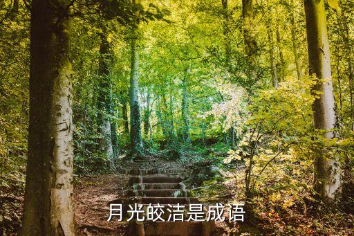 月光皎洁是成语