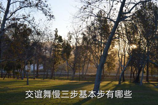 三步双人舞基础步教学视频，交谊舞慢三步基本步有哪些