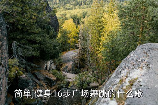 简单j健身16步广场舞跳的什么歌