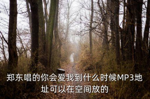 三步踩哪你会爱我到什么时候免费下载，郑东唱的你会爱我到什么时候MP3地址可以在空间放的