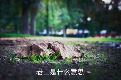 老二是什么意思