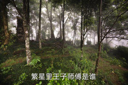 繁星里王子师傅是谁