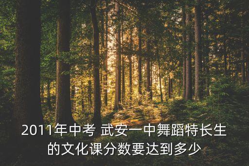 2011年中考 武安一中舞蹈特长生的文化课分数要达到多少
