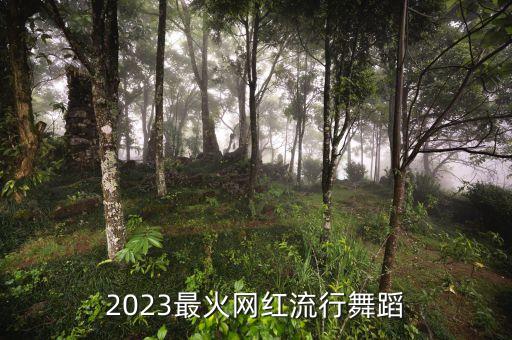 2023最火网红流行舞蹈