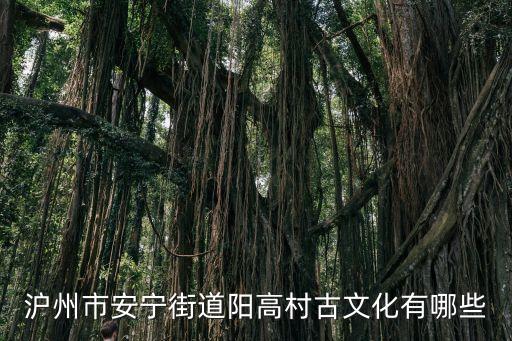 四川打莲枪视频，沪州市安宁街道阳高村古文化有哪些