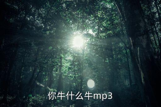 你牛什么牛mp3