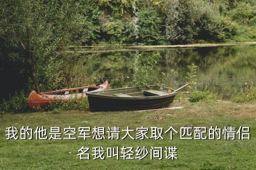 我的他是空军想请大家取个匹配的情侣名我叫轻纱间谍