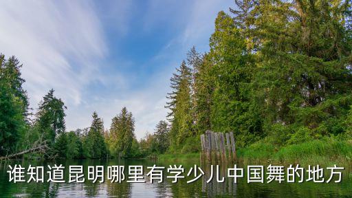 谁知道昆明哪里有学少儿中国舞的地方