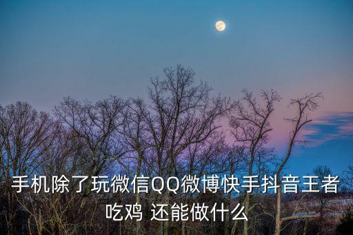 手机除了玩微信QQ微博快手抖音王者吃鸡 还能做什么