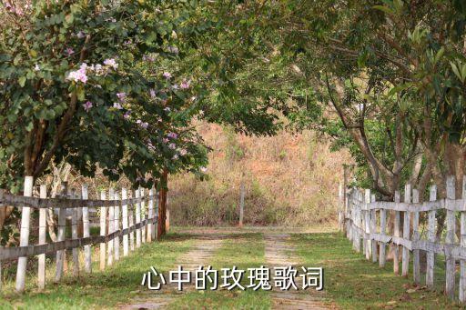 女唱歌词中带有心中什么的玫瑰，其中有句心中的玫瑰的那首歌叫什么来着