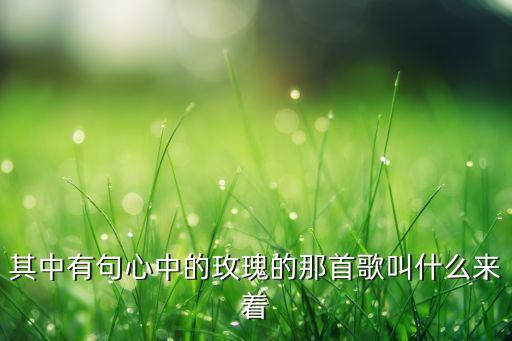 其中有句心中的玫瑰的那首歌叫什么来着