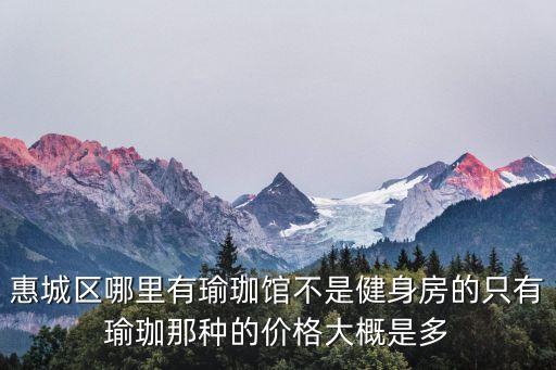 惠城区哪里有瑜珈馆不是健身房的只有瑜珈那种的价格大概是多