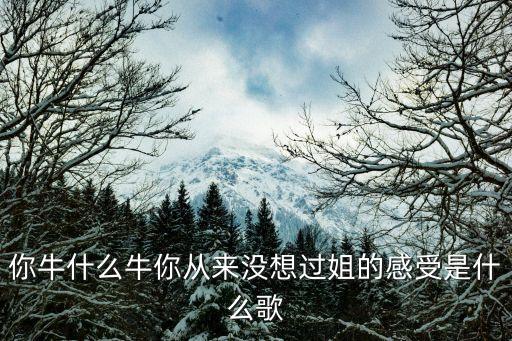 你牛什么牛你从来没想过姐的感受是什么歌