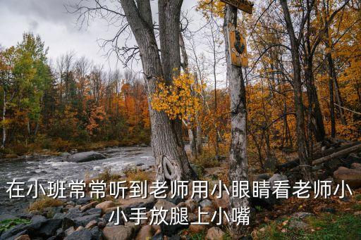 在小班常常听到老师用小眼睛看老师小小手放腿上小嘴